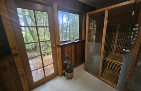 Infra Red Sauna 1