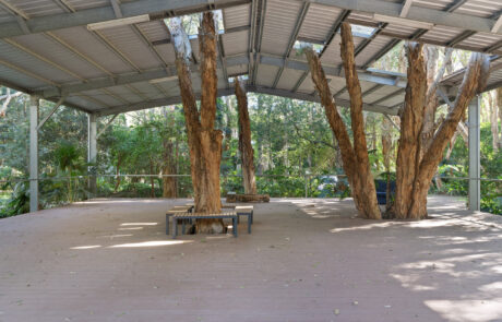 Covered Outdoor Space